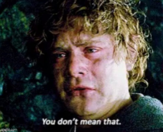 Lord Of The Rings Sam "You don't mean that" | image tagged in sam you don't mean that | made w/ Imgflip meme maker