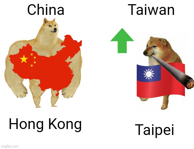 Support Taiwan | China; Taiwan; Hong Kong; Taipei | image tagged in memes,buff doge vs cheems,china,taiwan,hong kong | made w/ Imgflip meme maker