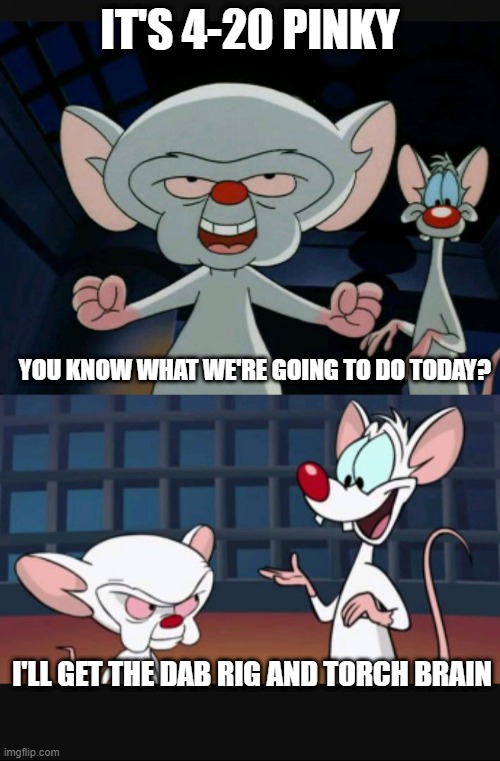 Pinky and the Brain dialogue | IT'S 4-20 PINKY; YOU KNOW WHAT WE'RE GOING TO DO TODAY? I'LL GET THE DAB RIG AND TORCH BRAIN | image tagged in pinky and the brain dialogue | made w/ Imgflip meme maker