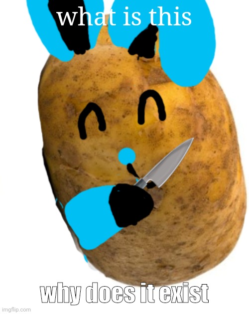 PotatoRabbit killer ._. | what is this; why does it exist | image tagged in potatorabbit killer _ | made w/ Imgflip meme maker