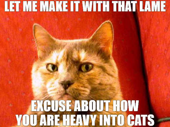 you not fooling me | LET ME MAKE IT WITH THAT LAME; EXCUSE ABOUT HOW YOU ARE HEAVY INTO CATS | image tagged in memes,suspicious cat | made w/ Imgflip meme maker