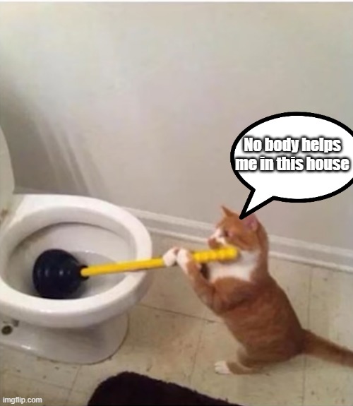 No body helps me in this house | image tagged in cats | made w/ Imgflip meme maker