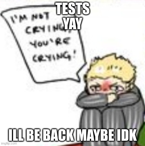i m n o t c r y i n g y o u r e c r y i n g | TESTS
YAY; ILL BE BACK MAYBE IDK | image tagged in i m n o t c r y i n g y o u r e c r y i n g | made w/ Imgflip meme maker