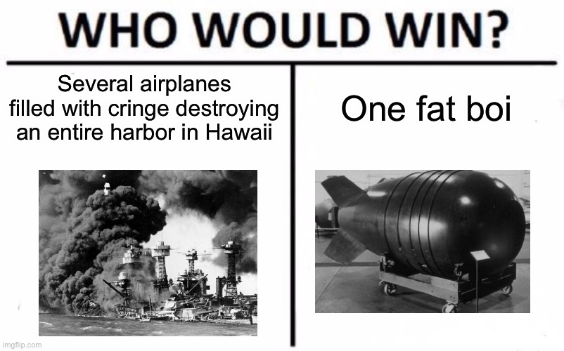 Was bored, so i made another WWII meme. | Several airplanes filled with cringe destroying an entire harbor in Hawaii; One fat boi | image tagged in memes,who would win | made w/ Imgflip meme maker