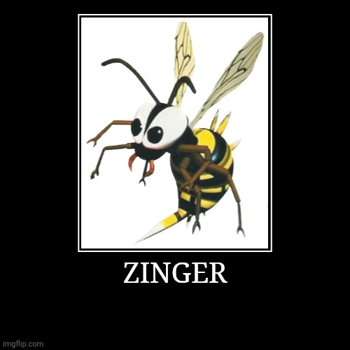 Zinger | ZINGER | | image tagged in demotivationals,donkey kong,zinger | made w/ Imgflip demotivational maker