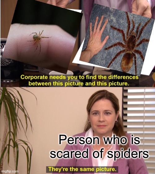 Couldn’t be me… | Person who is scared of spiders | image tagged in memes,they're the same picture | made w/ Imgflip meme maker