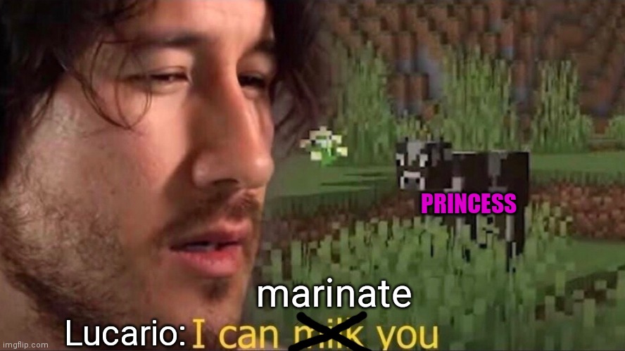 I can milk you (template) | PRINCESS; marinate; Lucario: | image tagged in i can milk you template | made w/ Imgflip meme maker