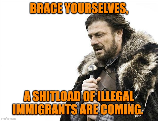 Brace Yourselves X is Coming |  BRACE YOURSELVES, A SHITLOAD OF ILLEGAL IMMIGRANTS ARE COMING. | image tagged in memes,brace yourselves x is coming | made w/ Imgflip meme maker