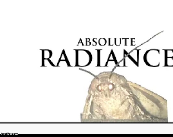 MOTH | made w/ Imgflip meme maker