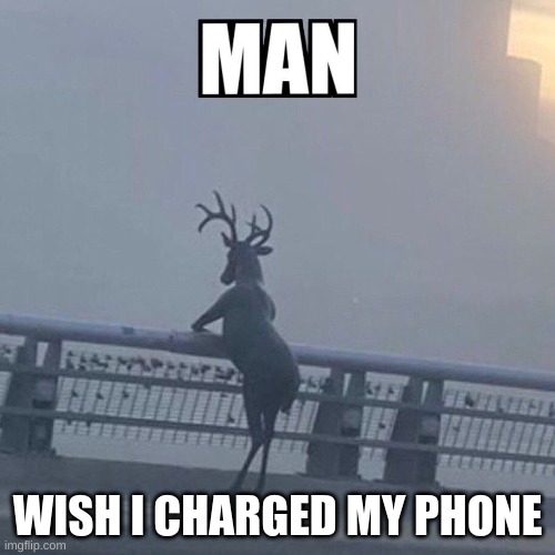 forgot to charge my phone | WISH I CHARGED MY PHONE | image tagged in deer,phone,charger | made w/ Imgflip meme maker