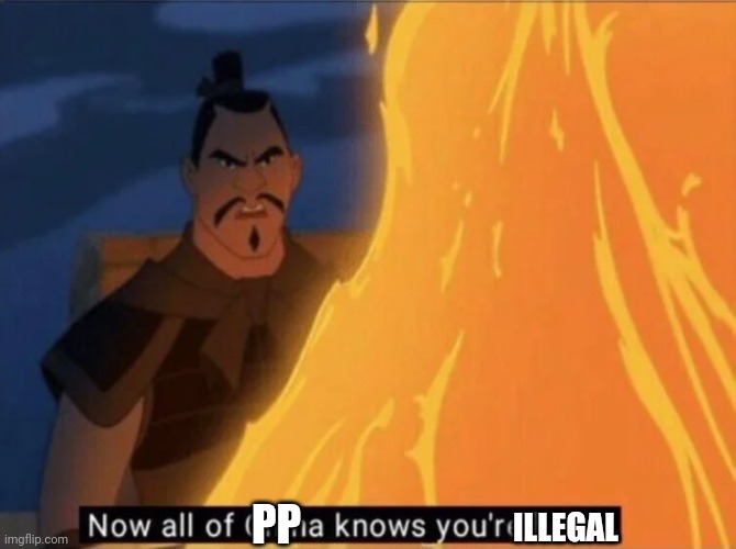 Now all of China knows you're here | ILLEGAL PP | image tagged in now all of china knows you're here | made w/ Imgflip meme maker