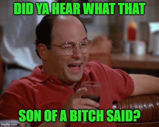 George Costanza | DID YA HEAR WHAT THAT SON OF A BITCH SAID? | image tagged in george costanza | made w/ Imgflip meme maker