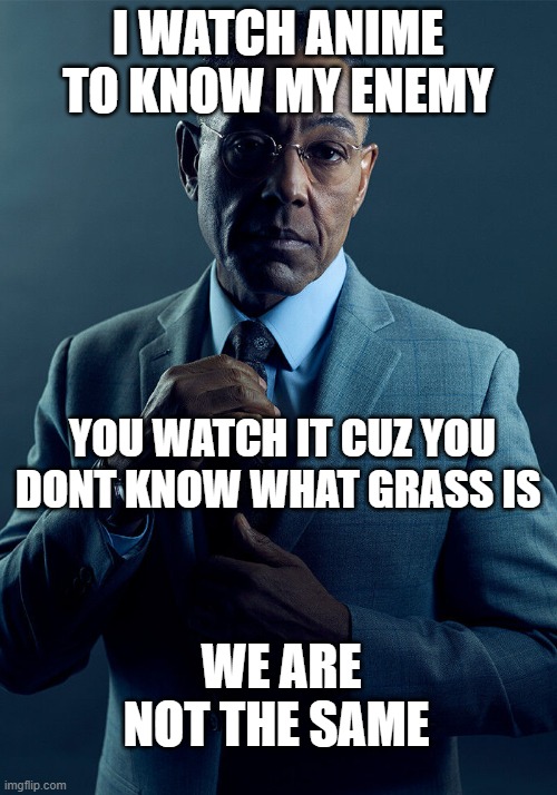 just a joke | I WATCH ANIME TO KNOW MY ENEMY; YOU WATCH IT CUZ YOU DONT KNOW WHAT GRASS IS; WE ARE NOT THE SAME | image tagged in gus fring we are not the same | made w/ Imgflip meme maker