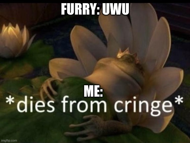 true | FURRY: UWU; ME: | image tagged in dies from cringe | made w/ Imgflip meme maker