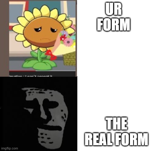 UR FORM THE REAL FORM | made w/ Imgflip meme maker