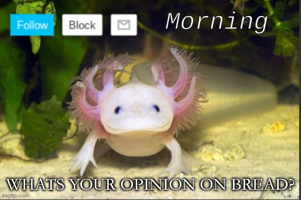 Bread | Morning; WHATS YOUR OPINION ON BREAD? | image tagged in axolotldudes announcement template | made w/ Imgflip meme maker