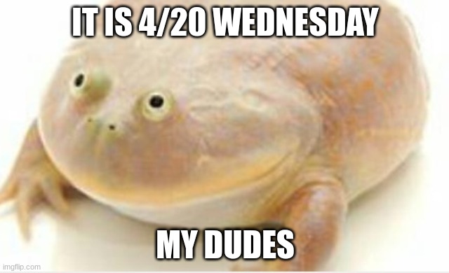 It's Wednesday my dudes |  IT IS 4/20 WEDNESDAY; MY DUDES | image tagged in it's wednesday my dudes | made w/ Imgflip meme maker