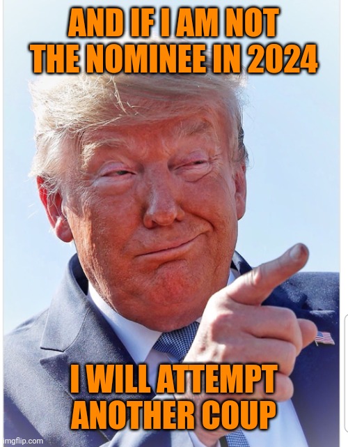 Thank god this is the dude to attempt a coup or 2 | AND IF I AM NOT THE NOMINEE IN 2024; I WILL ATTEMPT ANOTHER COUP | image tagged in trump pointing | made w/ Imgflip meme maker