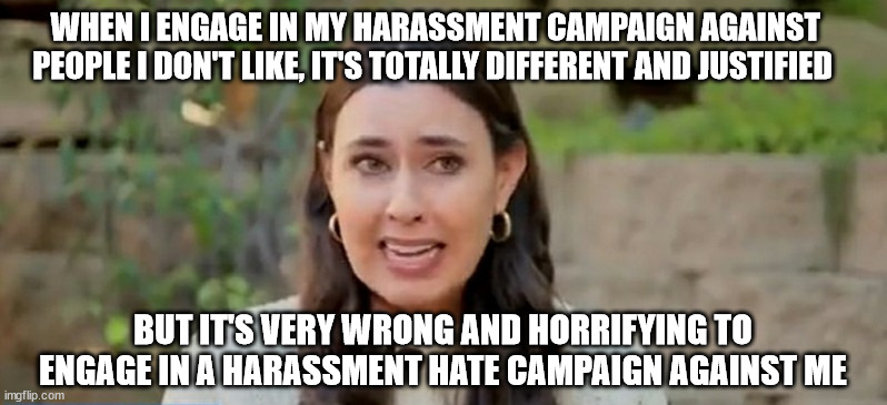 The Hypocrisy of Taylor Lorenz |  WHEN I ENGAGE IN MY HARASSMENT CAMPAIGN AGAINST PEOPLE I DON'T LIKE, IT'S TOTALLY DIFFERENT AND JUSTIFIED; BUT IT'S VERY WRONG AND HORRIFYING TO ENGAGE IN A HARASSMENT HATE CAMPAIGN AGAINST ME | image tagged in taylor lorenz,hypocrisy,hypocrite,the washington post,criticism,journalism | made w/ Imgflip meme maker