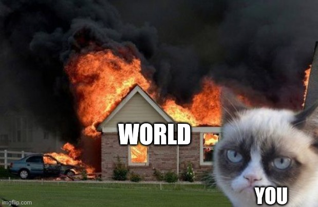 Burn Kitty Meme | WORLD YOU | image tagged in memes,burn kitty,grumpy cat | made w/ Imgflip meme maker