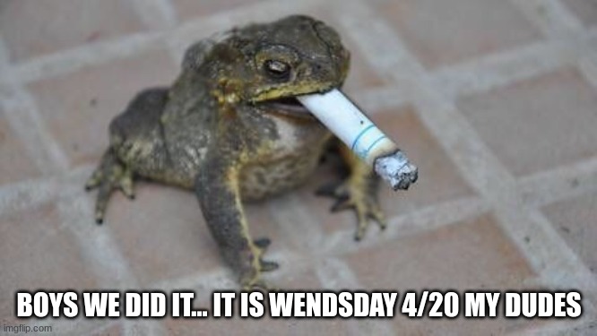 Happy 4/20 | BOYS WE DID IT... IT IS WEDNESDAY 4/20 MY DUDES | image tagged in smoking frog | made w/ Imgflip meme maker