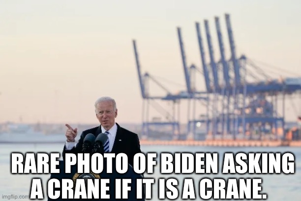 RARE PHOTO OF BIDEN ASKING A CRANE IF IT IS A CRANE. | made w/ Imgflip meme maker