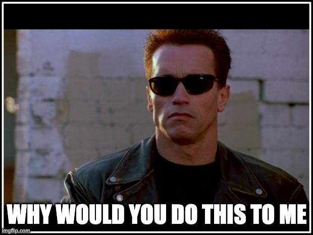 arnold schwarzenegger terminator | WHY WOULD YOU DO THIS TO ME | image tagged in arnold schwarzenegger terminator | made w/ Imgflip meme maker