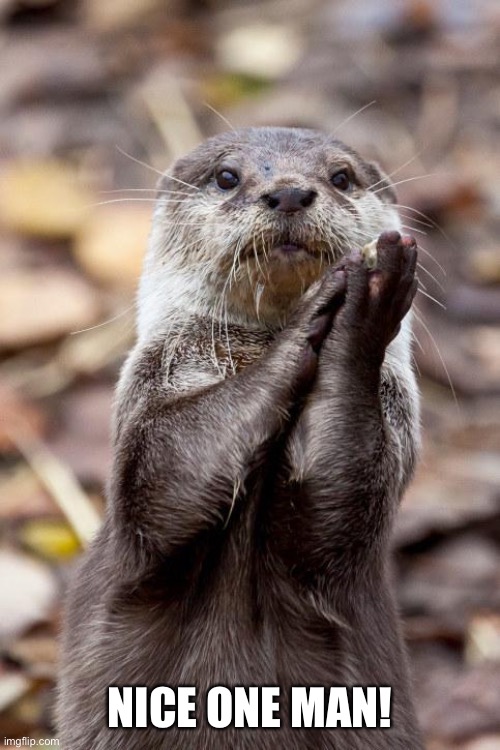 Slow-Clap Otter | NICE ONE MAN! | image tagged in slow-clap otter | made w/ Imgflip meme maker