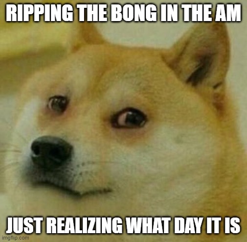 Happy Holidays | RIPPING THE BONG IN THE AM; JUST REALIZING WHAT DAY IT IS | image tagged in high doge | made w/ Imgflip meme maker