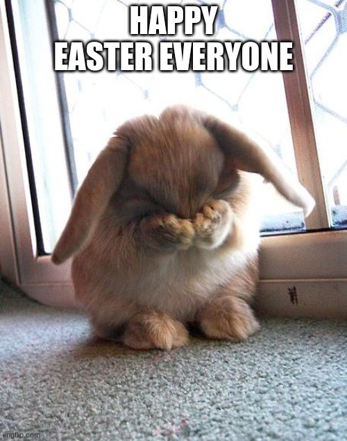 i know its late but happy easter to everyone | HAPPY EASTER EVERYONE | image tagged in embarrassed bunny | made w/ Imgflip meme maker