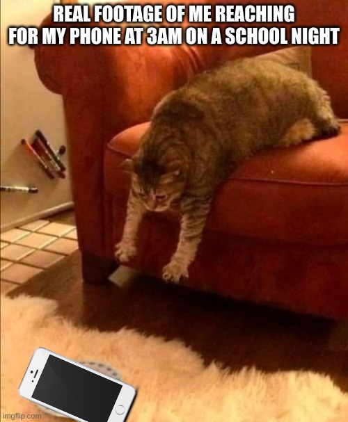 Fat Cat Reaching | REAL FOOTAGE OF ME REACHING FOR MY PHONE AT 3AM ON A SCHOOL NIGHT | image tagged in fat cat reaching | made w/ Imgflip meme maker