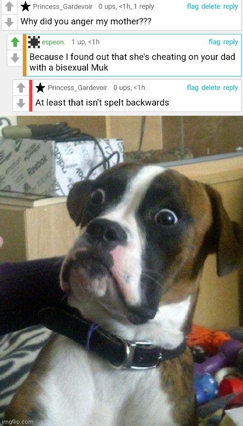 Imfao | image tagged in surprised dog | made w/ Imgflip meme maker