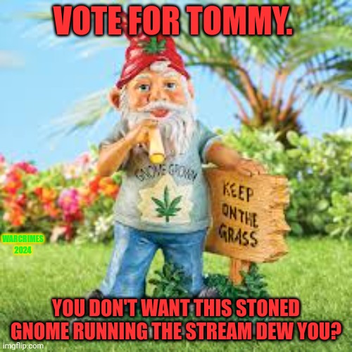 Gnomes. | VOTE FOR TOMMY. WARCRIMES 2024; YOU DON'T WANT THIS STONED GNOME RUNNING THE STREAM DEW YOU? | image tagged in vote,tommy,gnomes,smoke weed everyday | made w/ Imgflip meme maker