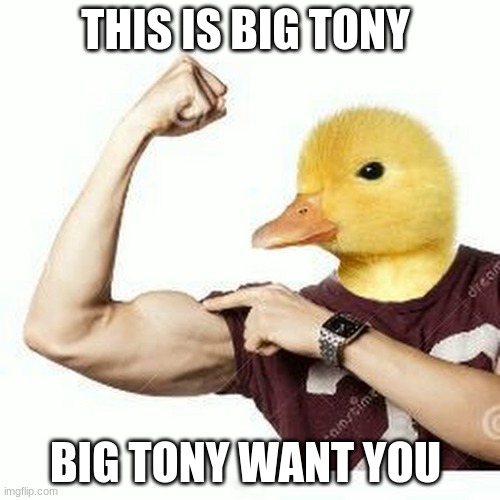 big tony | THIS IS BIG TONY; BIG TONY WANT YOU | image tagged in dog | made w/ Imgflip meme maker