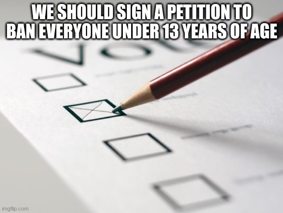 yes | WE SHOULD SIGN A PETITION TO BAN EVERYONE UNDER 13 YEARS OF AGE | image tagged in voting ballot,yes,yea,yesh,vote | made w/ Imgflip meme maker