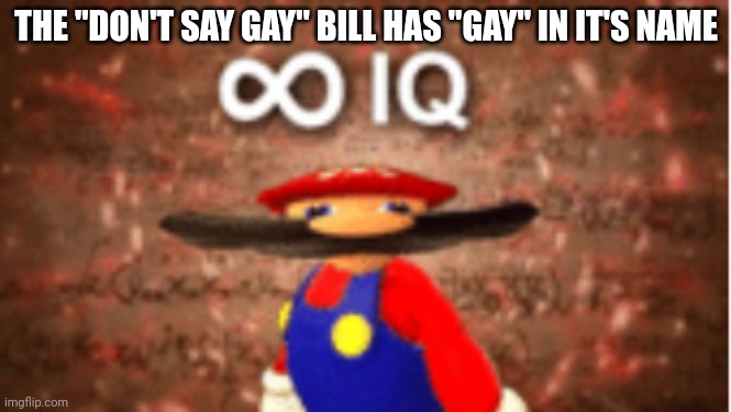 sue the bill it said "gay" | THE "DON'T SAY GAY" BILL HAS "GAY" IN IT'S NAME | image tagged in infinite iq | made w/ Imgflip meme maker