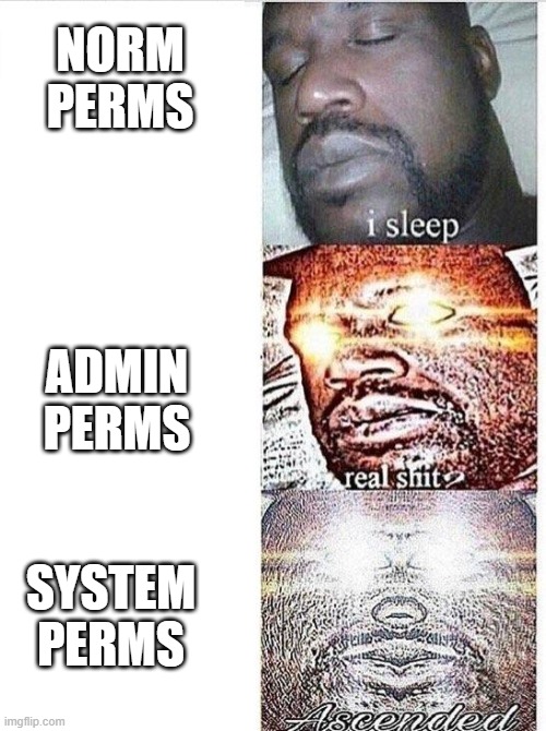 windows permmisions | NORM PERMS; ADMIN PERMS; SYSTEM PERMS | image tagged in i sleep meme with ascended template | made w/ Imgflip meme maker