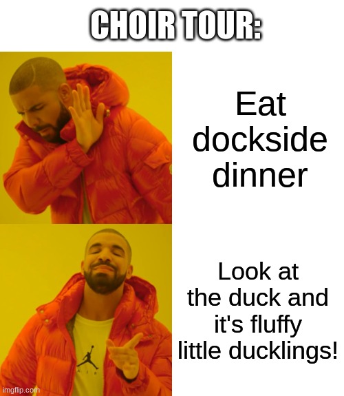 Drake Hotline Bling | CHOIR TOUR:; Eat dockside dinner; Look at the duck and it's fluffy little ducklings! | image tagged in memes,drake hotline bling | made w/ Imgflip meme maker