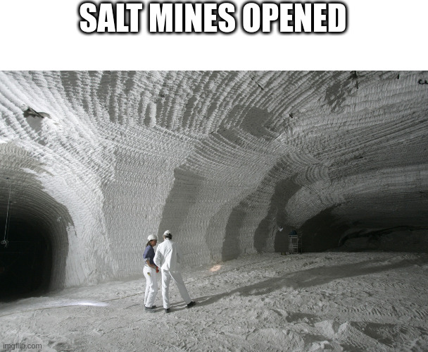 Salt Miners | SALT MINES OPENED | image tagged in salt miners | made w/ Imgflip meme maker