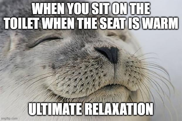 sat | WHEN YOU SIT ON THE TOILET WHEN THE SEAT IS WARM; ULTIMATE RELAXATION | image tagged in memes,satisfied seal | made w/ Imgflip meme maker