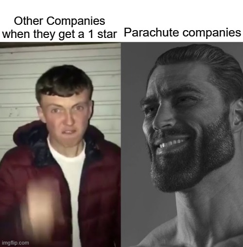 Dead meme | Parachute companies; Other Companies when they get a 1 star | image tagged in average fan vs average enjoyer | made w/ Imgflip meme maker