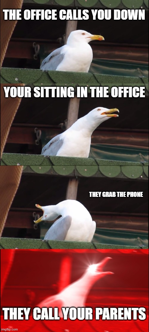 OH NO | THE OFFICE CALLS YOU DOWN; YOUR SITTING IN THE OFFICE; THEY GRAB THE PHONE; THEY CALL YOUR PARENTS | image tagged in memes,inhaling seagull | made w/ Imgflip meme maker