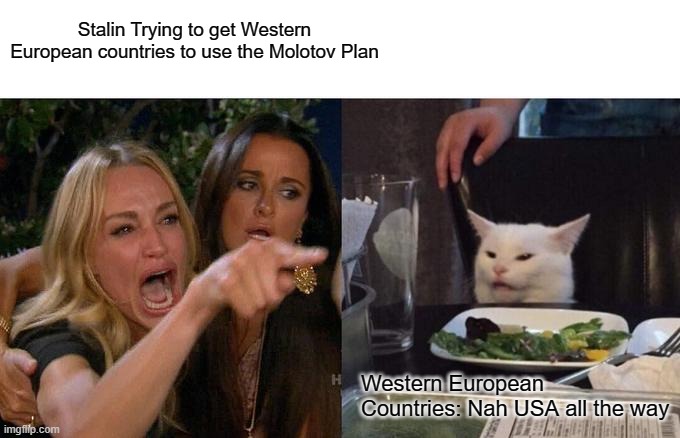 Woman Yelling At Cat Meme | Stalin Trying to get Western European countries to use the Molotov Plan; Western European Countries: Nah USA all the way | image tagged in memes,woman yelling at cat | made w/ Imgflip meme maker