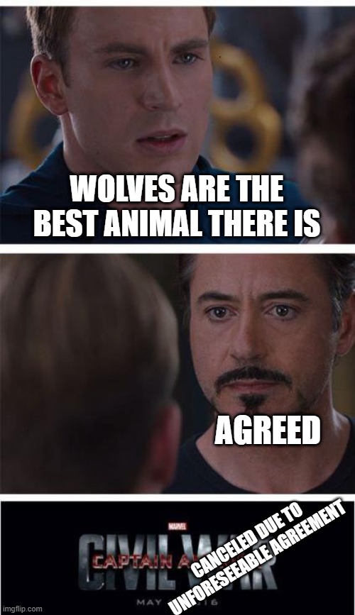 Marvel Civil War 1 | WOLVES ARE THE BEST ANIMAL THERE IS; AGREED; CANCELED DUE TO UNFORESEEABLE AGREEMENT | image tagged in memes,marvel civil war 1,wolf,wolves,funny,funny meme | made w/ Imgflip meme maker