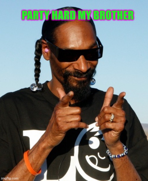 Snoop Dogg approves | PARTY HARD MY BROTHER | image tagged in snoop dogg approves | made w/ Imgflip meme maker