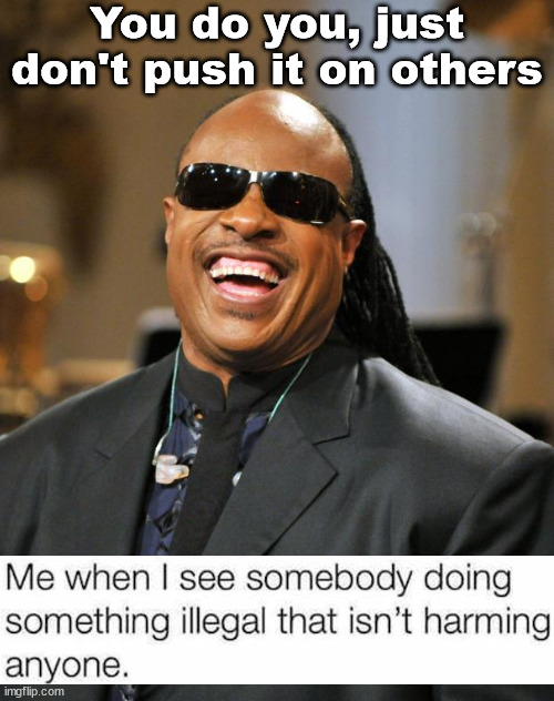 Stevie Wonder | You do you, just don't push it on others | image tagged in stevie wonder,political | made w/ Imgflip meme maker