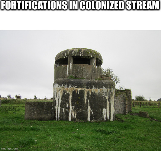 FORTIFICATIONS IN COLONIZED STREAM | made w/ Imgflip meme maker