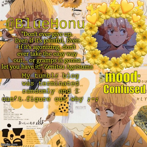 bluehonu's zenitsu temp | Confused; My tumblr blog was terminated randomly and I can’t figure out why ;-; | image tagged in bluehonu's zenitsu temp | made w/ Imgflip meme maker