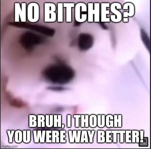 No bitches 2! | BRUH, I THOUGH YOU WERE WAY BETTER! | image tagged in no bitches | made w/ Imgflip meme maker