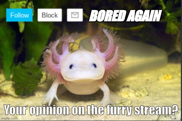 question | BORED AGAIN; Your opinion on the furry stream? | image tagged in axolotldudes announcement template | made w/ Imgflip meme maker